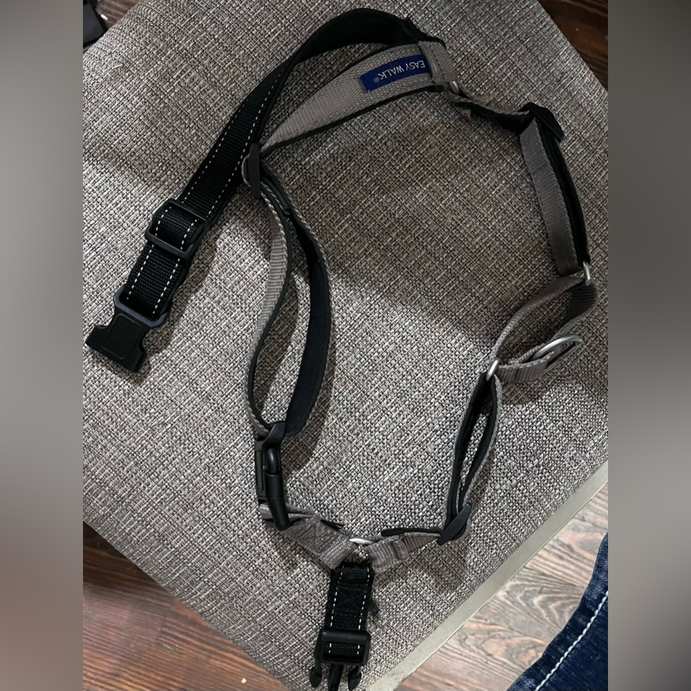 Large dog harness